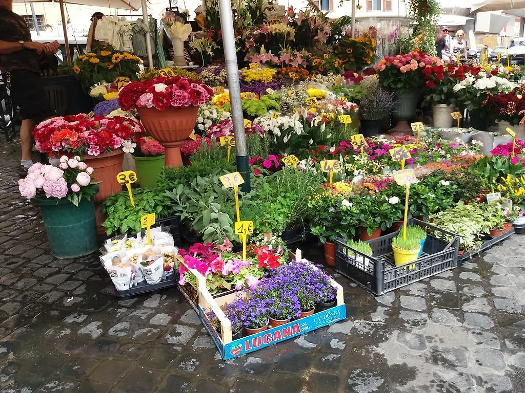Campofiori Διαμέρισμα Ρώμη Ιταλία