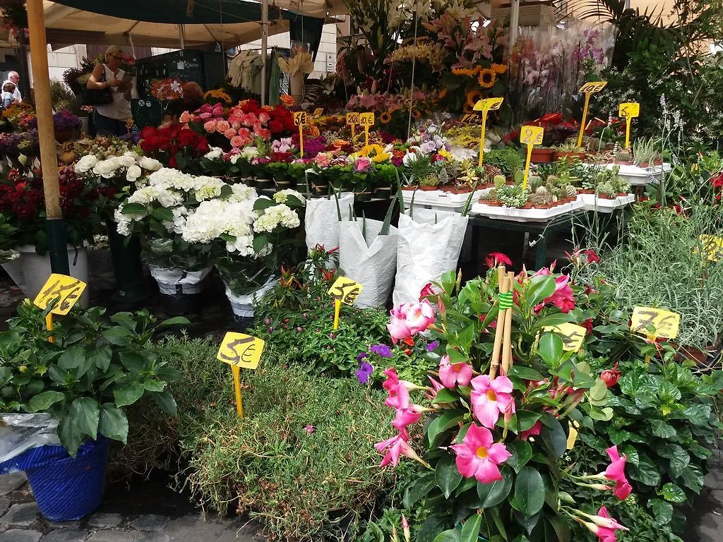 Campofiori Διαμέρισμα Ρώμη
